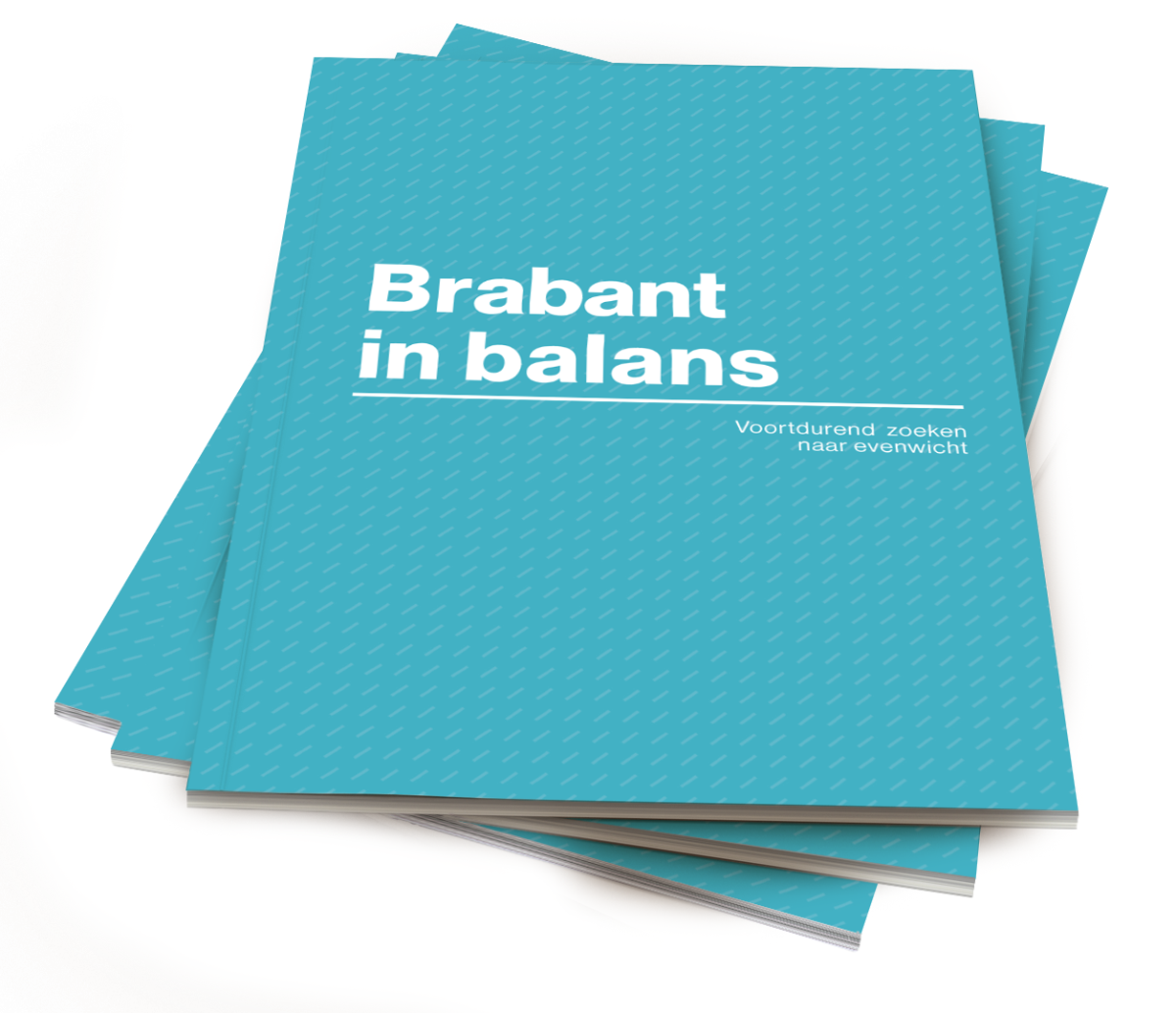 Jaarboek Brabant in balans